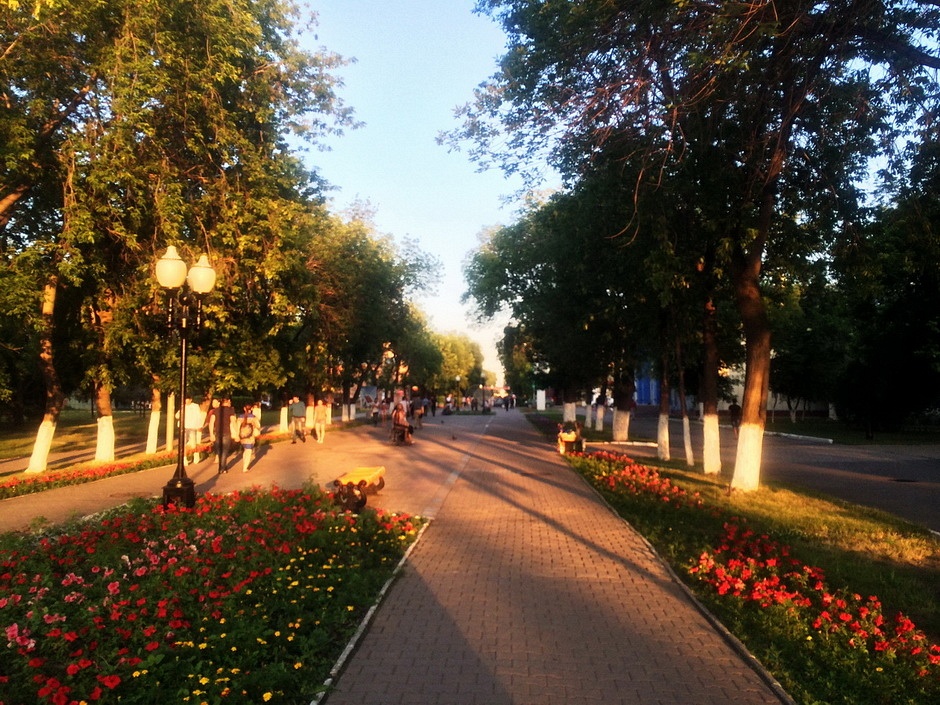 Зображення