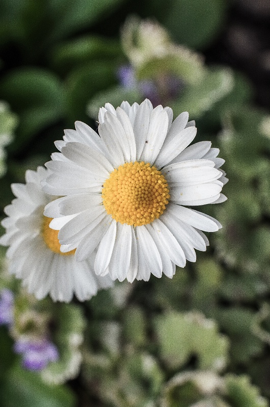 IMGP6193.jpg