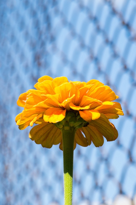 IMGP9044.jpg