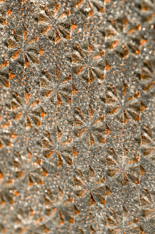 IMGP9054.jpg
